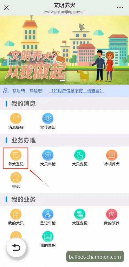 掌握贝博体育安卓版：5个核心技巧与3种高效方法提升你的体验